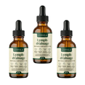 Cure Herbéa 90 jours – 3 flacons d’Élixir aux 4 Plantes